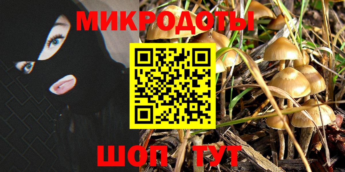 Кострома  Галлюциногенные грибы мицелий  Галлюциногенные грибы GOLDEN TEACHER  где можно купить наркотик  Вход с VPN 