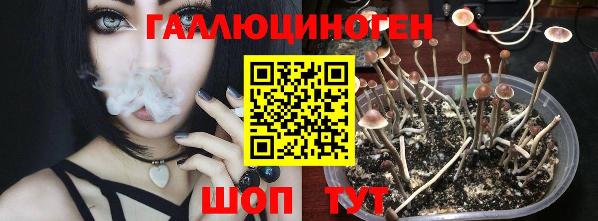 Псилоцибиновые грибы GOLDEN TEACHER Кострома